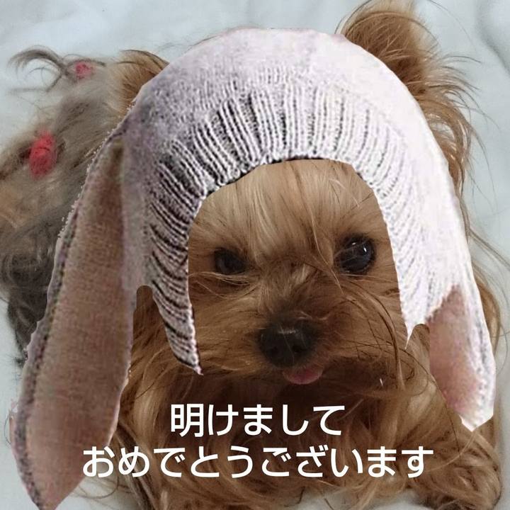 Ed37d652 2075 49d8 b9c7 25df50ebfd06 1672499915446