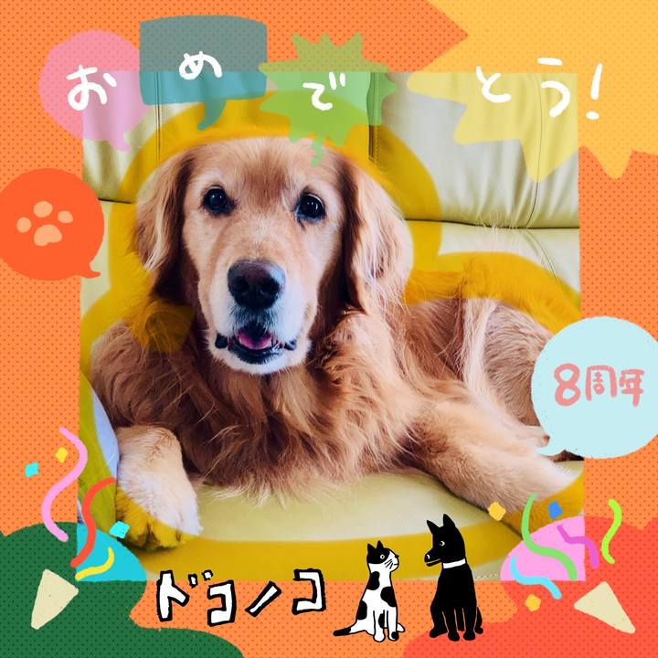 Ed37fbae b34c 4eeb 841b 052988da956f 1717557683759