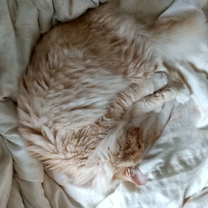 Ed37ffc1 a878 4426 8fe4 5de6ba8a23af 1652836385206