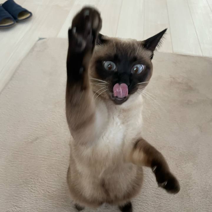 Ed38193e ac16 4c96 a462 86059ba0c2d1 1733013312421