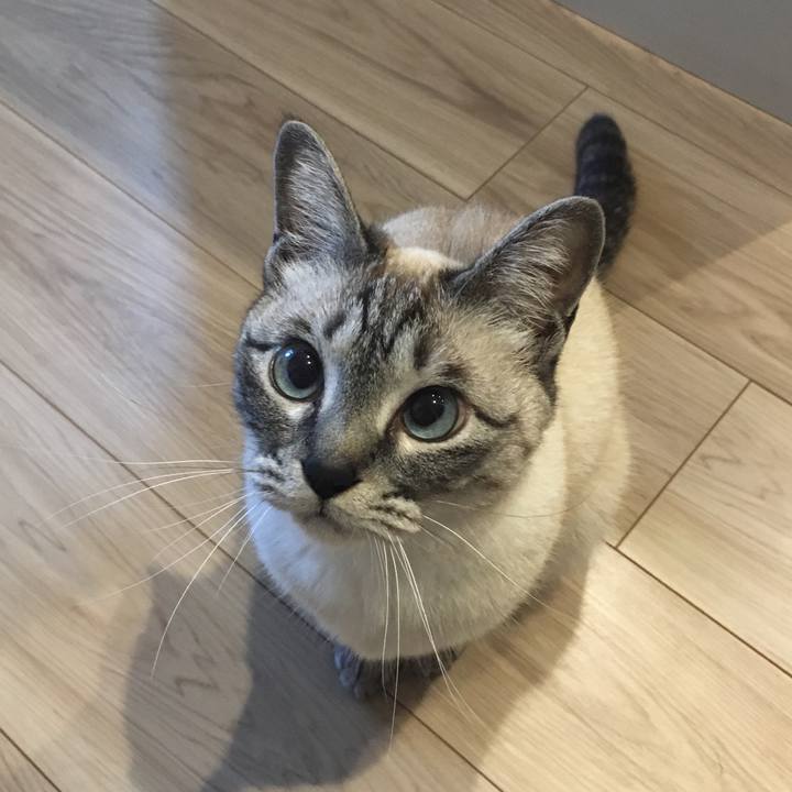 Ed384ccd 9da7 4ff1 9a01 63e005b39175 1587169968687