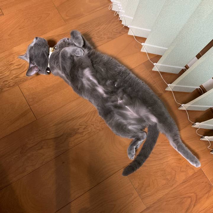 Ed385c93 c829 4864 af87 7072f35c72a1 1661943825724