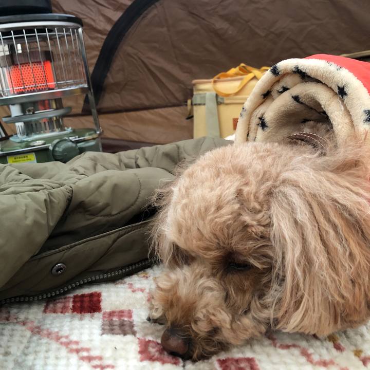 Ed386da9 f24c 438d b3be e07ebea55732 1775137392635