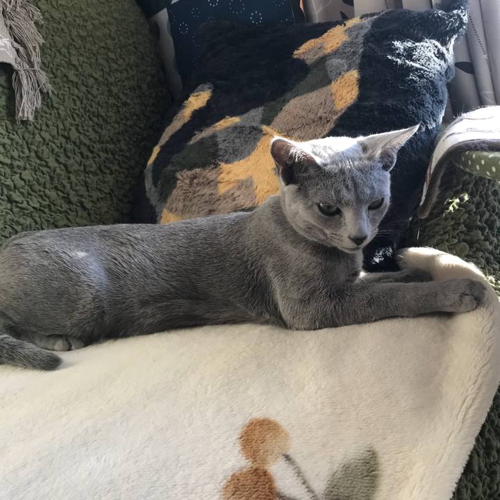 Ed3875e9 45c1 4031 b9a4 a552b72a8cc4 1514189901619