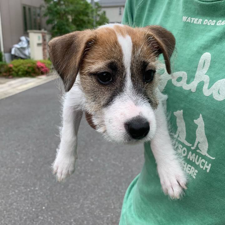 Ed38ed11 cf31 437d 848f 76d0f89c268e 1560056550875