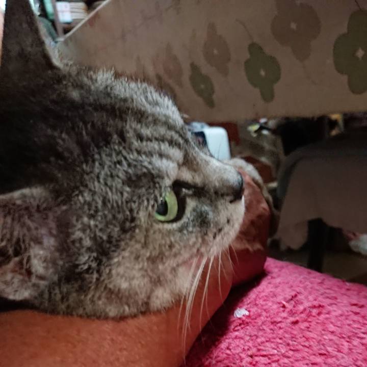 Ed393271 8fc8 437f 9e05 06cc8e7b600d 1564488697819