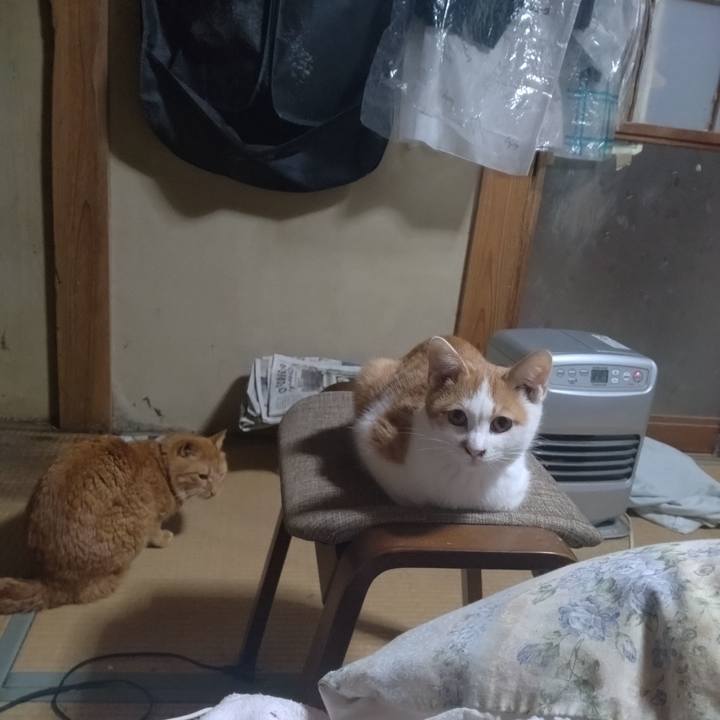 Ed393484 d626 4cf2 b2f4 bf42249a8aba 1732054064678