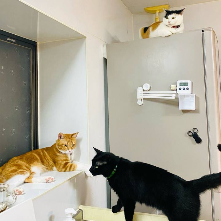 Ed394186 9276 454d 9e7f e0fe58c4aeb7 1688989259358