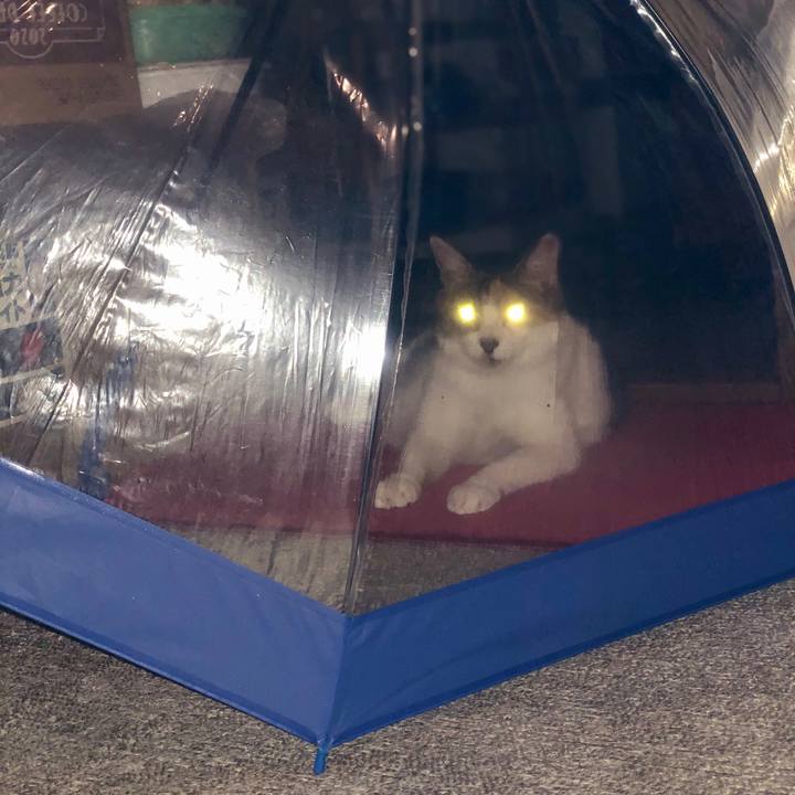 Ed396da5 9353 47f1 b1e0 a23d53086e99 1592914992181