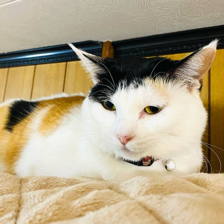 Ed3979cc 8d9f 44b9 9a29 52a3c8ad4cc1 1667915617442