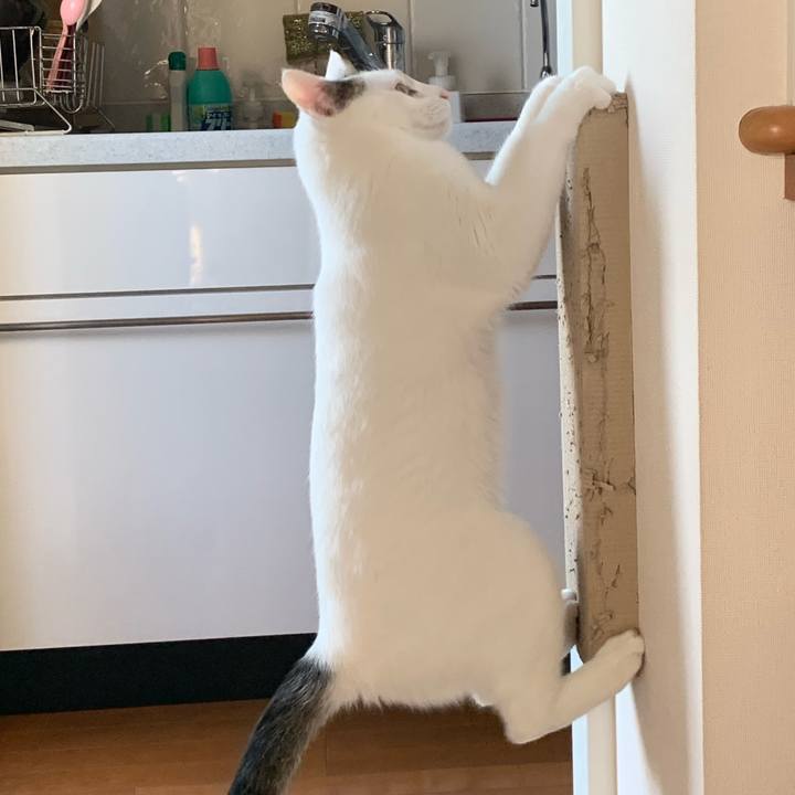 Ed399448 29c8 4264 b6e1 f3e503ce991c 1622788327410