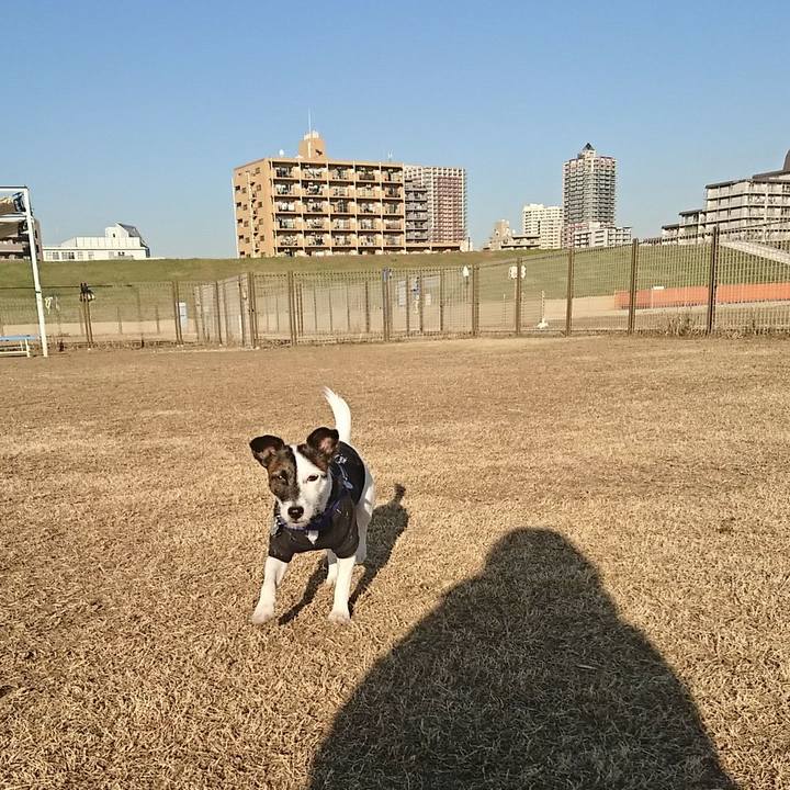 Ed39e97c 7c87 4eb1 bdd3 6c554af30620 1513748629853