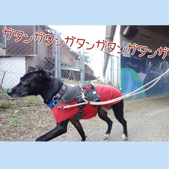 Ed39f97d 0b78 4e39 beae e66cd4fd5c57 1642986161596