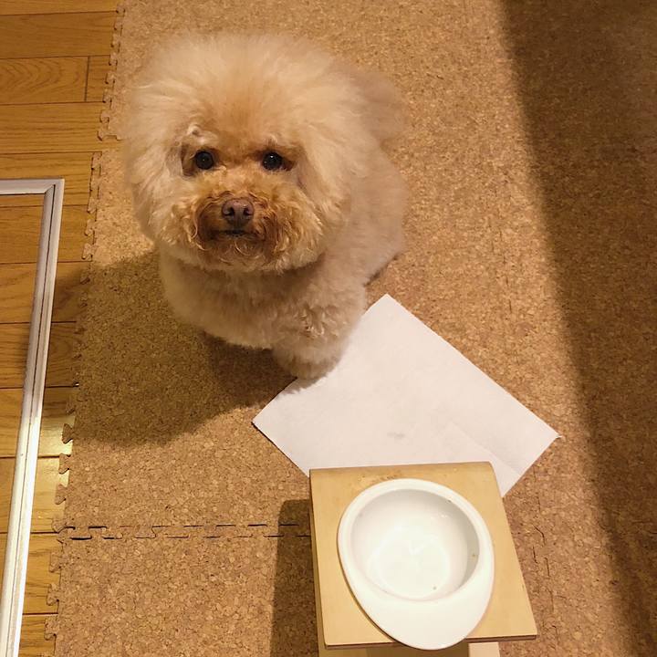 Ed3a1e00 6932 4340 b37a 4ff921ce6227 1539508408574