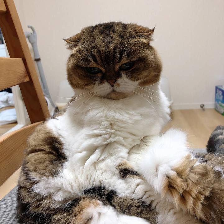 Ed3a4072 4591 4ea5 b7c1 15eb0ca21062 1550065212113