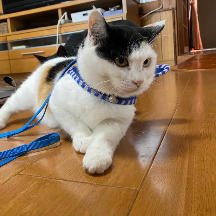 Ed3a4521 efd4 4f43 9ab6 fadece573690 1649755855169