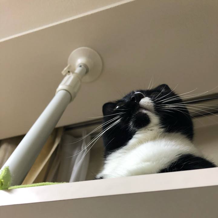 Ed3a6de7 d7da 4b66 9735 c6775387972c 1569450481156