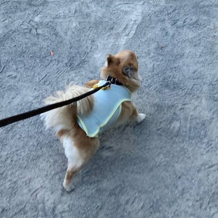 Ed3a7425 66f6 4ed7 8424 b77352a54731 1753842058933