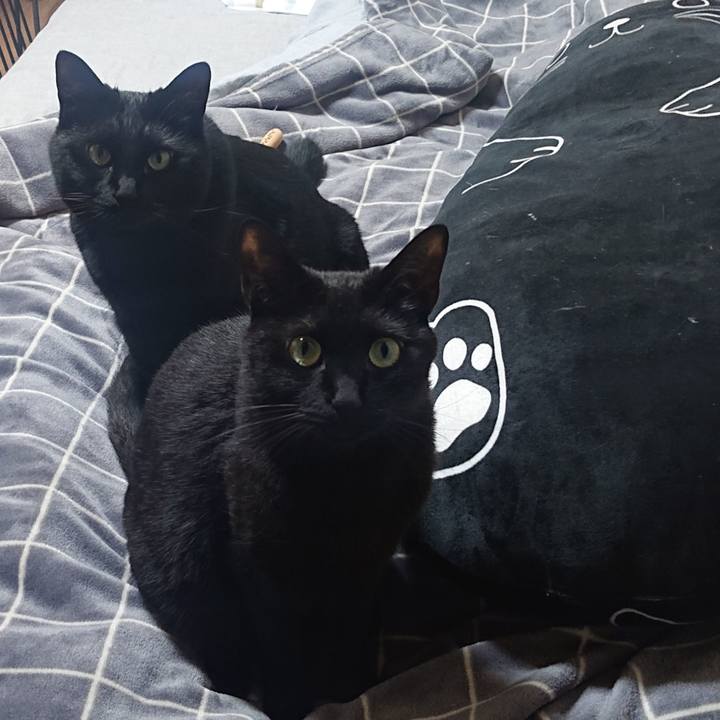 Ed3a925b 26f1 47e5 a672 74df5f74fdc0 1651795436179