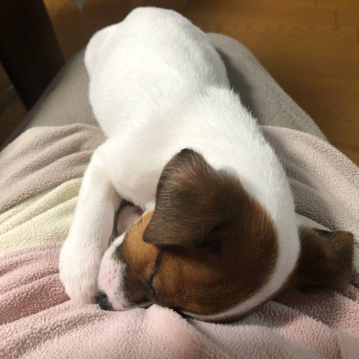 Ed3b487b fe27 40b3 9a68 b4dd80b3d035 1511184790118