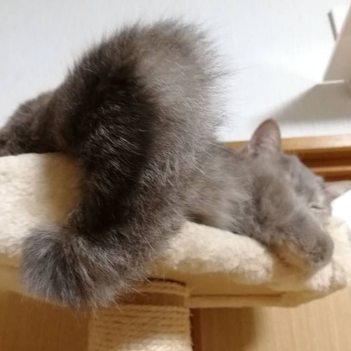 Ed3b973f c717 4f76 84ed 9d54b4e5b5aa 1539227756973