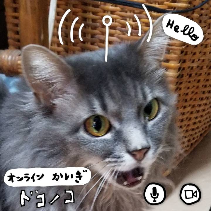 Ed3bb5f9 1476 4bb4 b715 2ebdabd42638 1592617217894