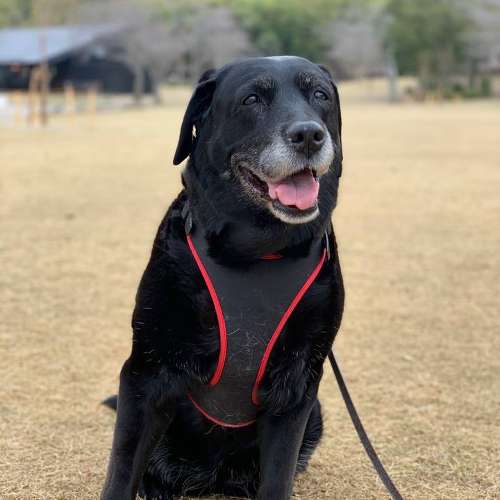 Ed3bc411 4215 49c3 b482 d3a697ef31c3 1584834164195