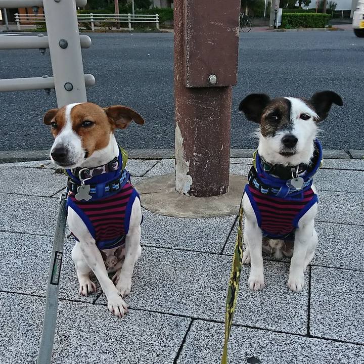 Ed3c182f 9539 4fe7 9211 57f351d3f32a 1542924337868