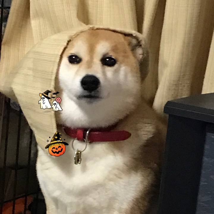 Ed3c41fd d531 4bfe a905 ec444143da6b 1570796445391