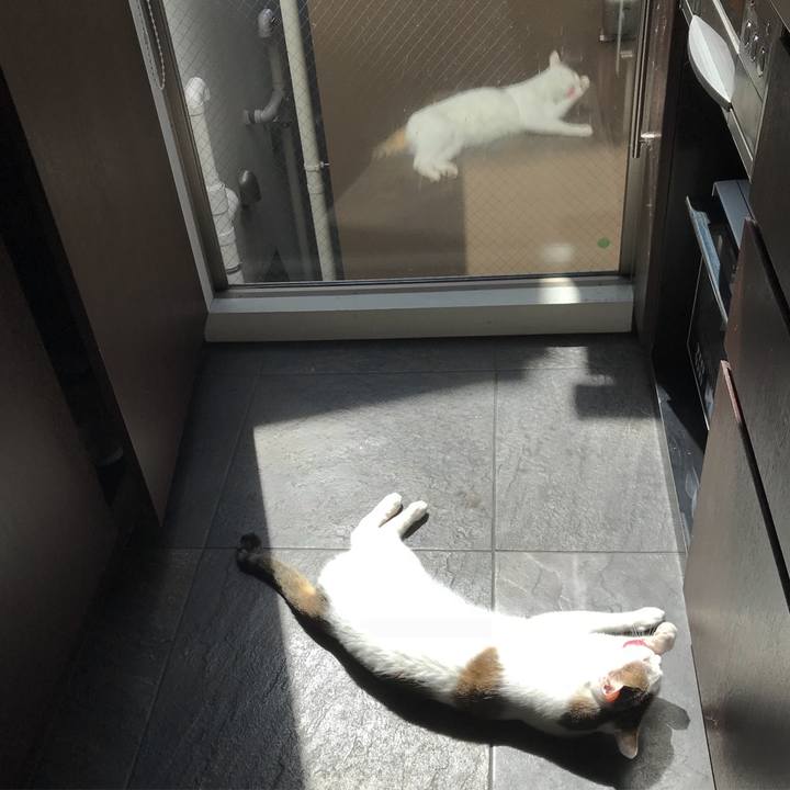 Ed3c6760 f1bf 42b3 8f6d 1d19f07bffa9 1526030651729