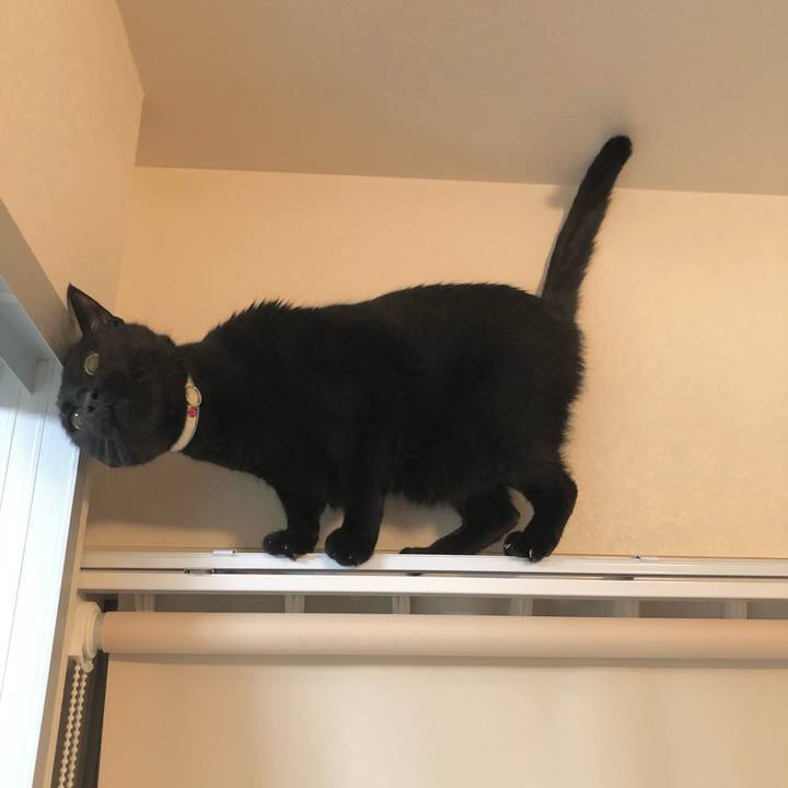 Ed3c783d 597d 4f39 ac4e 56947a3661e1 1614948979806