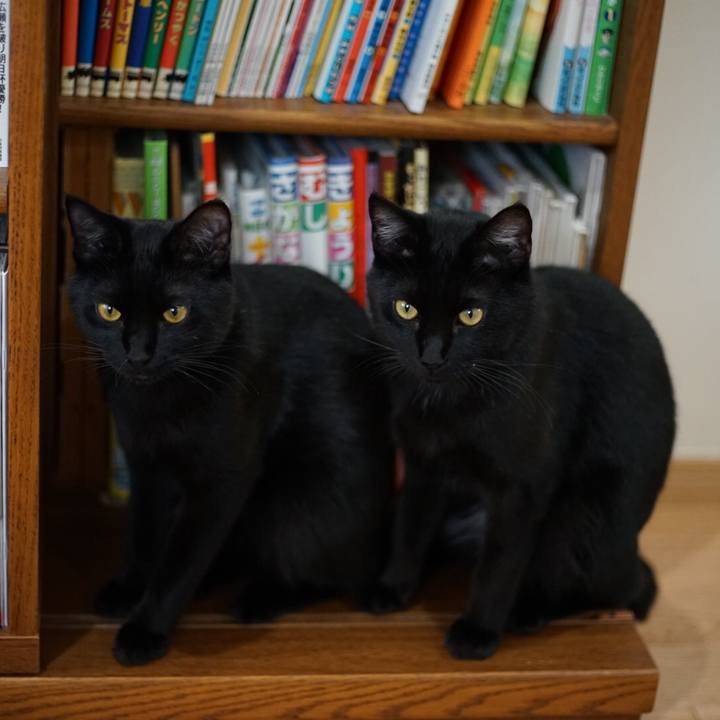 Ed3c8f31 30fe 49d3 aa54 b3e62931f339 1528898415899