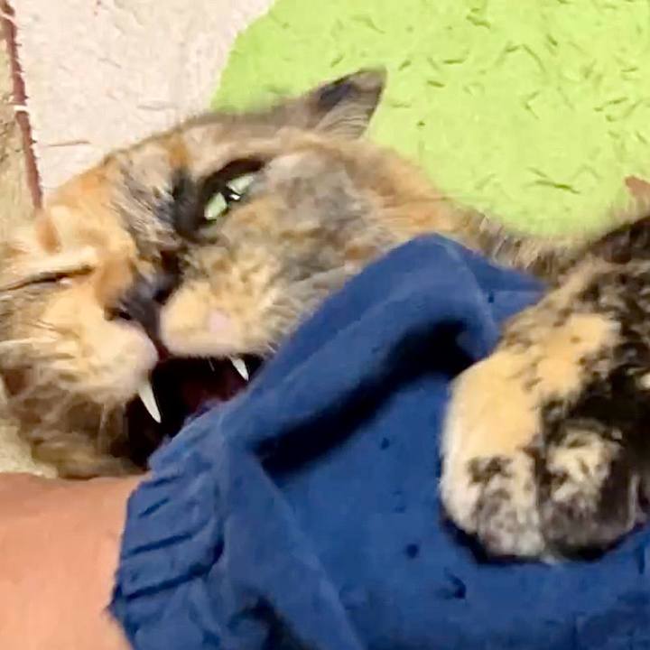 Ed3c9a67 5156 4e09 856e f02c3babbfb5 1737796941879