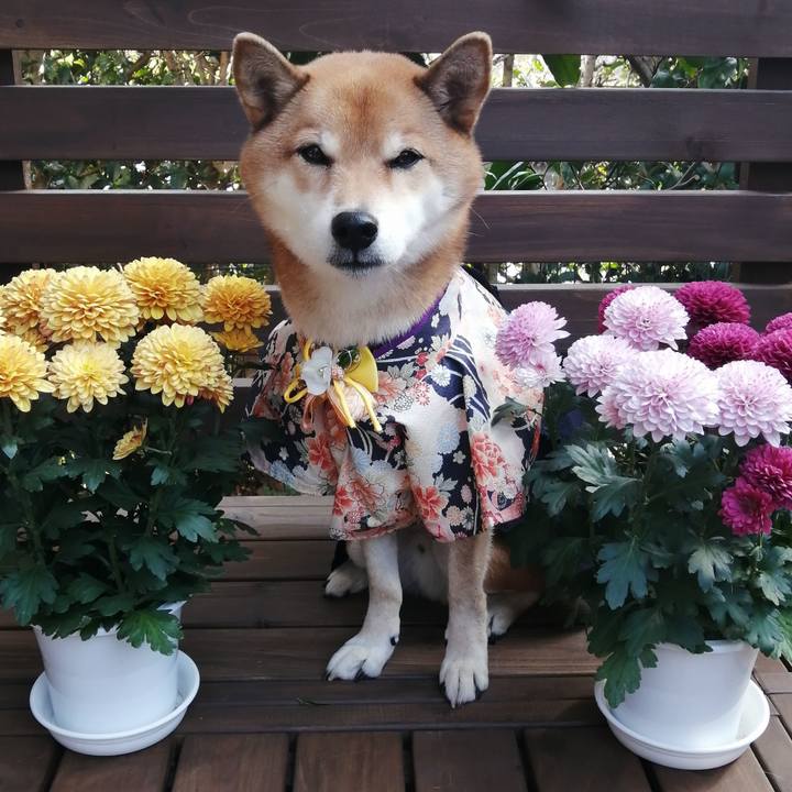 Ed3ca645 bfd6 44af aa56 ac52b988160f 1605661953555