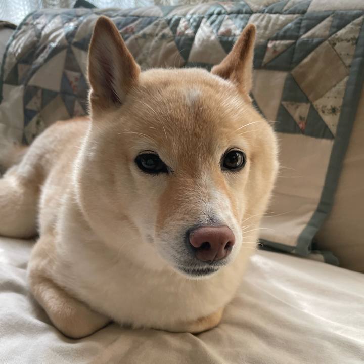 Ed3cadd6 48bc 4f1e 8282 15c213ee2ad1 1717368553254