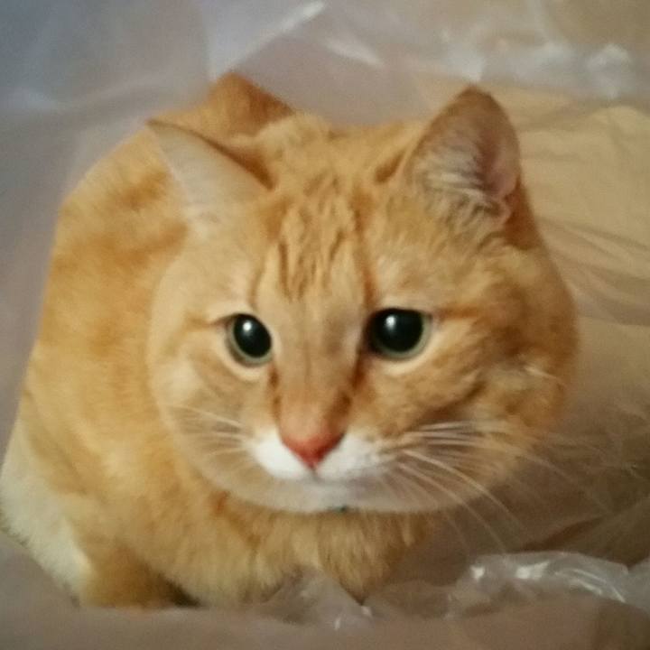 Ed3cb927 dd6b 4d92 a601 cf79da5abed8 1519460419256