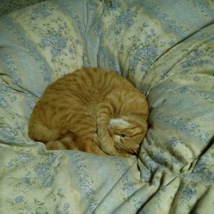 Ed3cc032 7a1a 4f1a a7b3 5cf14a44150d 1664973548383