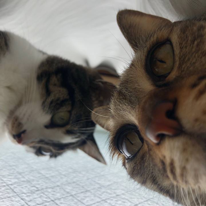 Ed3cd088 d3e5 4da9 ba71 38a96b60b8e5 1587523654720