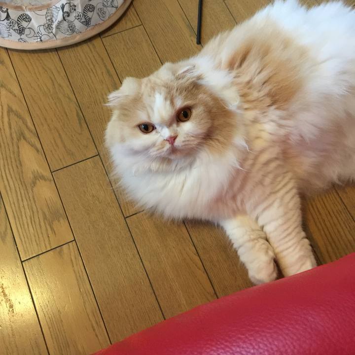 Ed3cfc39 4a11 45f6 a9ea fa24024bdf8c 1529572051608