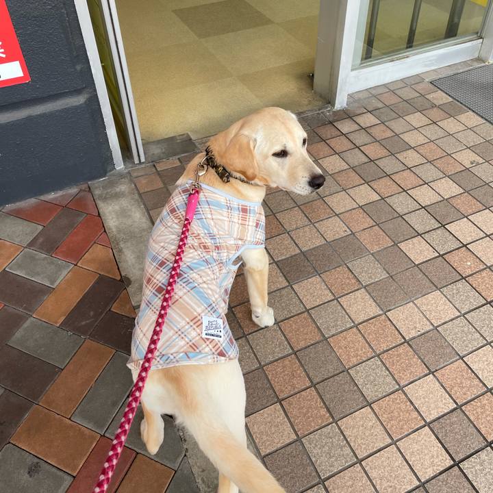 Ed3d1de5 c7c5 40c1 9500 50210c14bb9b 1621912050642