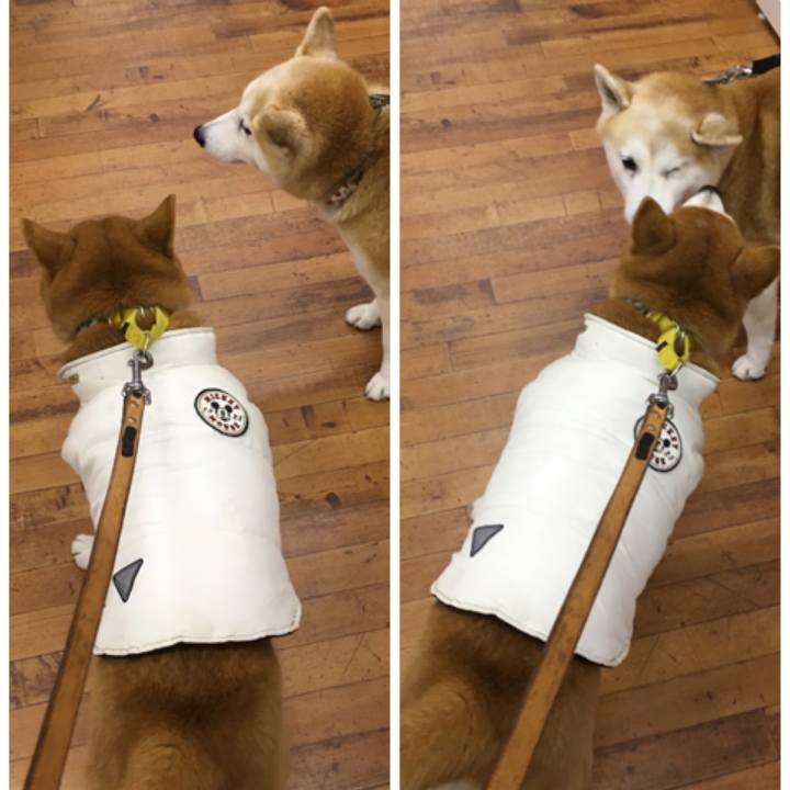 Ed3d4552 1db6 4923 8d74 d2b62a6dd811 1515902562707