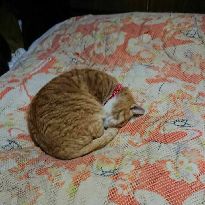 Ed3d4e08 0806 4f61 b951 dce7258a392f 1577014630677