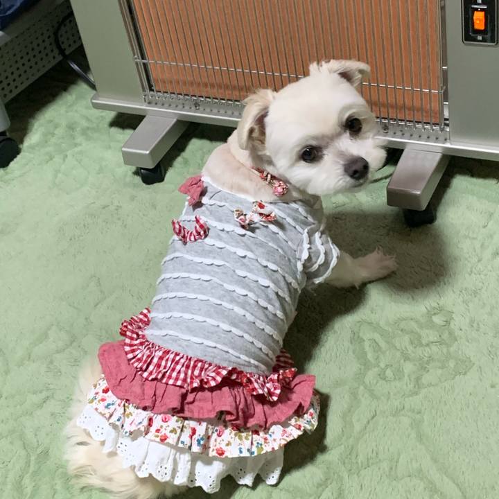 Ed3d65fe c8e3 4e20 9956 66ebecfaf82c 1617709146230