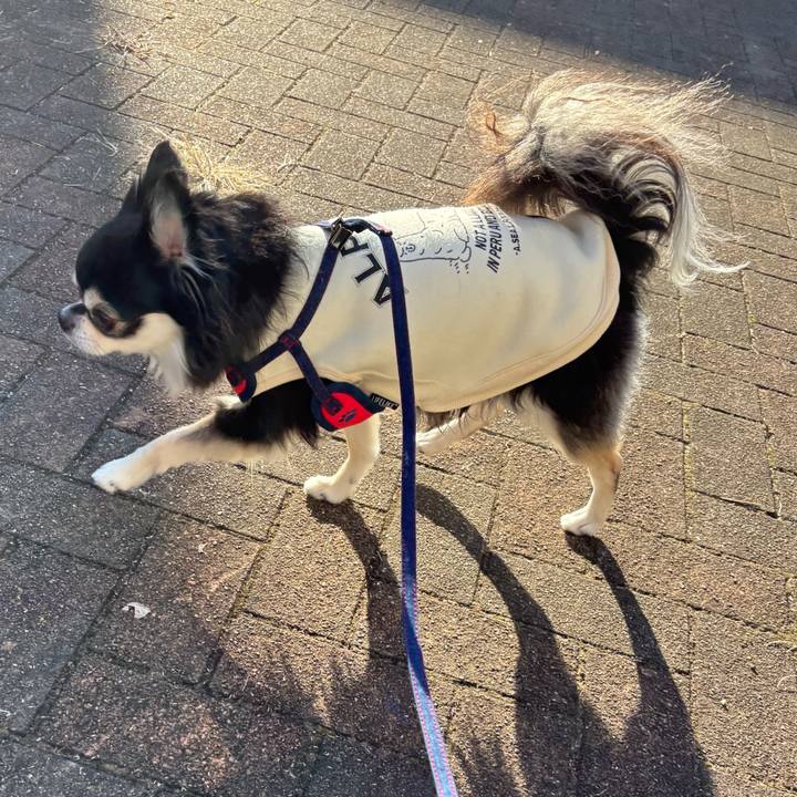 Ed3d8c42 8c6e 4ec5 bc24 e38065cc65be 1763833050591