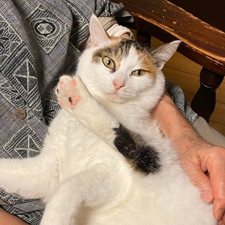 Ed3dbc03 b0f9 401f 8d0f e4f5f773af2e 1760270799685