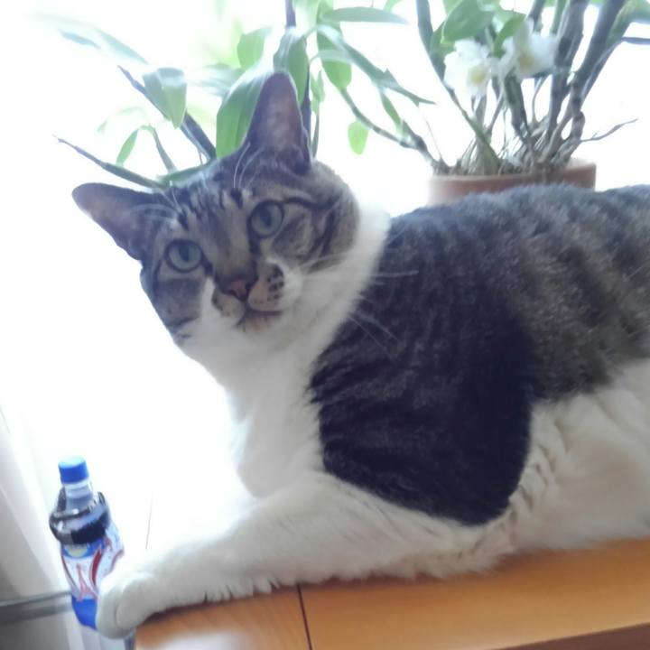 Ed3dd05b 4476 4134 b6cd 351bf0cc7250 1515555033316