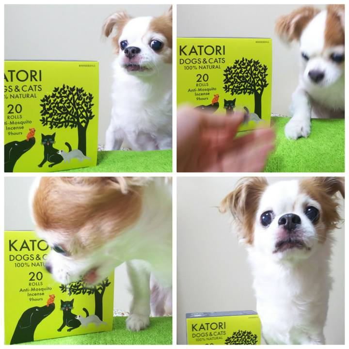 Ed3dd98c 38c7 4585 8b54 9d714319bdf0 1593064735343