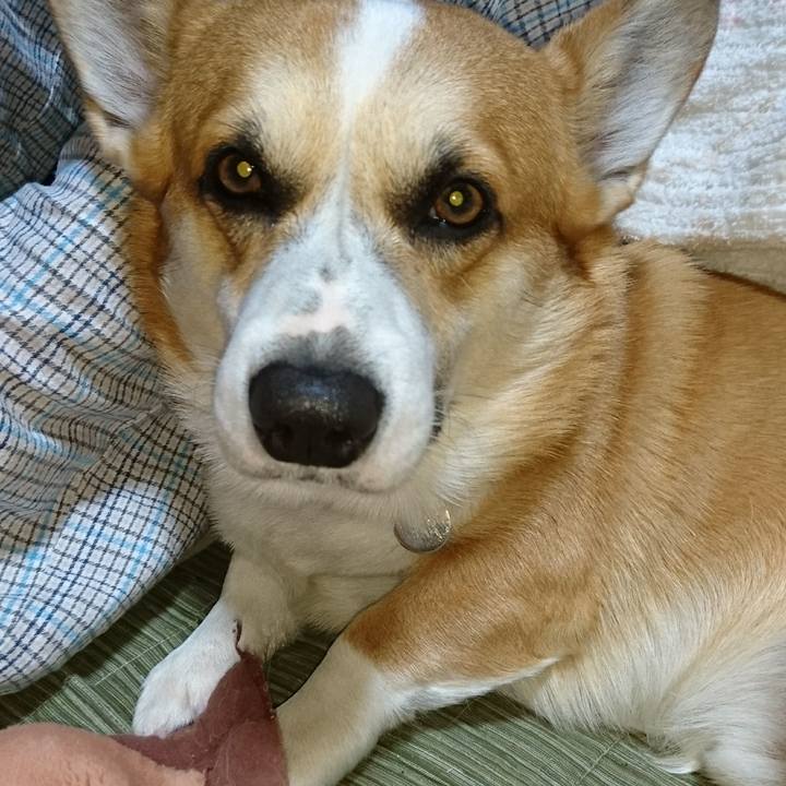 Ed3de48d 81a3 4722 804d f49b00f38e01 1611895461405