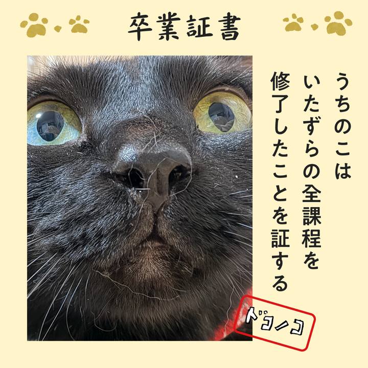 Ed3deb31 084b 49c8 8b97 8def319363bf 1772370896958