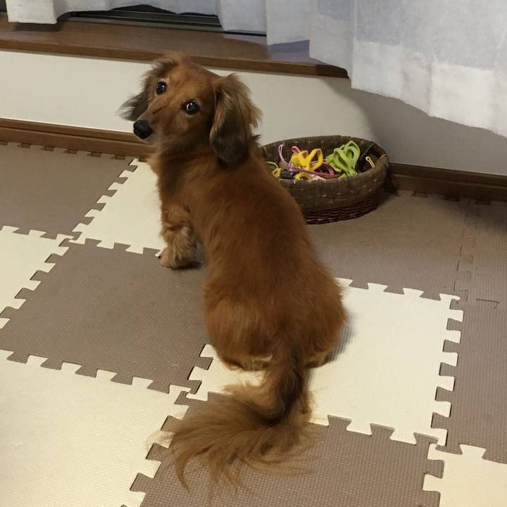 Ed3df0e8 edcf 4cde 9fda 95ff44e0ce11 1593952690591